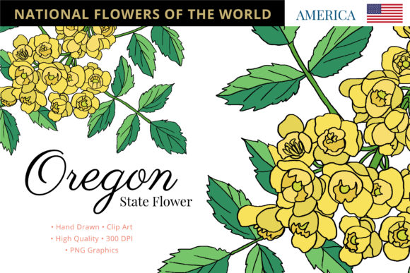 Discover the Beauty and Versatility of the Oregon State Flower: Oregon Grape