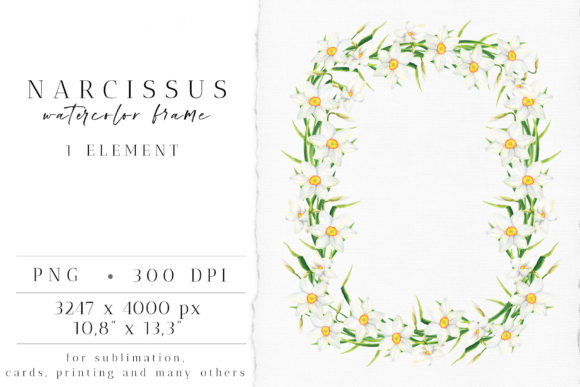 Watercolor Narcissus Frame Clipart: A Versatile Design Element for Your Creative Projects